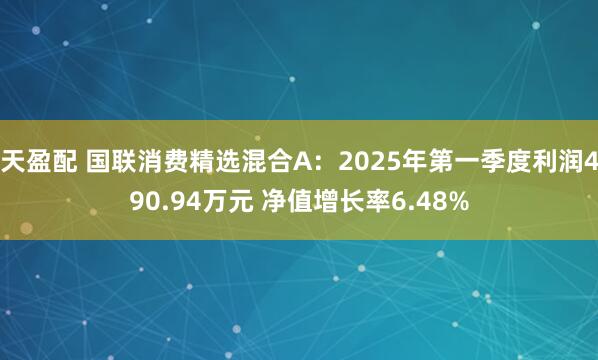 天盈配 国联消费精选混合A：2025年第一季度利润490.94万元 净值增长率6.48%