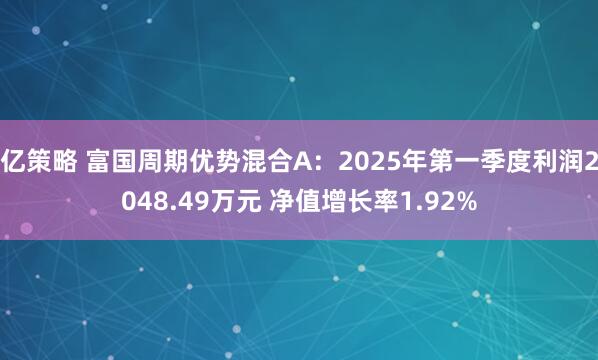 亿策略 富国周期优势混合A：2025年第一季度利润2048.49万元 净值增长率1.92%