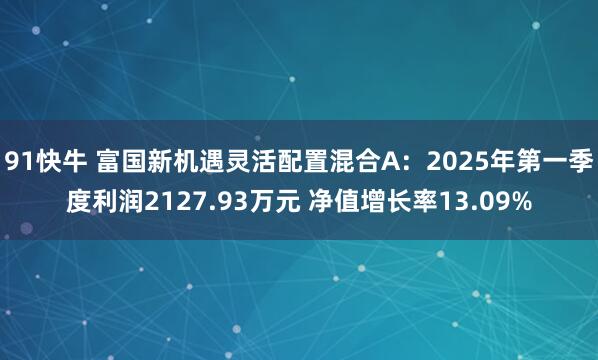 91快牛 富国新机遇灵活配置混合A：2025年第一季度利润2127.93万元 净值增长率13.09%