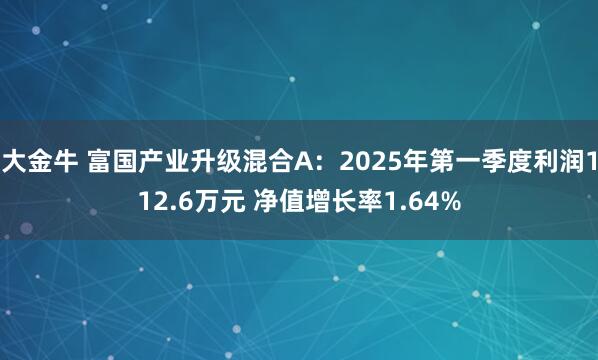 大金牛 富国产业升级混合A：2025年第一季度利润112.6万元 净值增长率1.64%