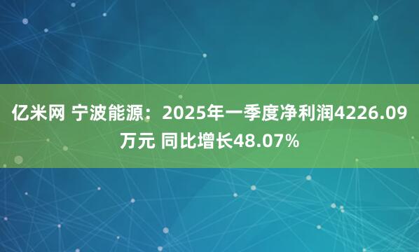 亿米网 宁波能源：2025年一季度净利润4226.09万元 同比增长48.07%