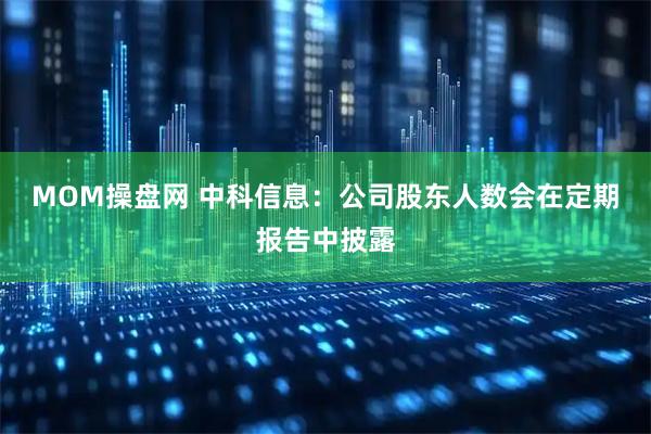 MOM操盘网 中科信息：公司股东人数会在定期报告中披露